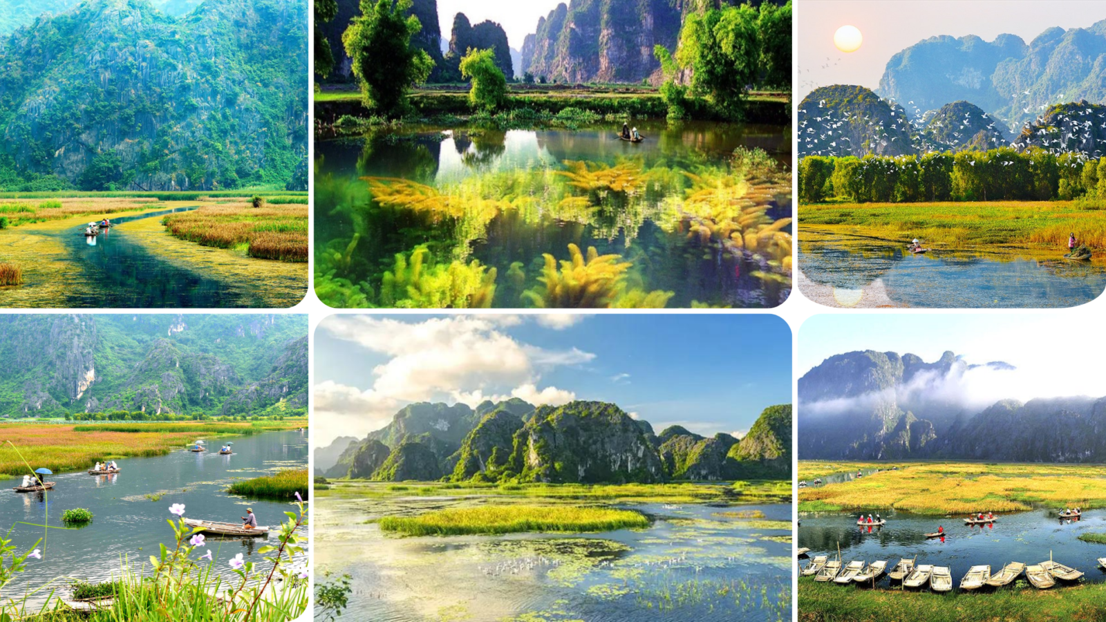 Van Long Lagoon: The Unmissable Eco-Tourism Gem of Ninh Binh