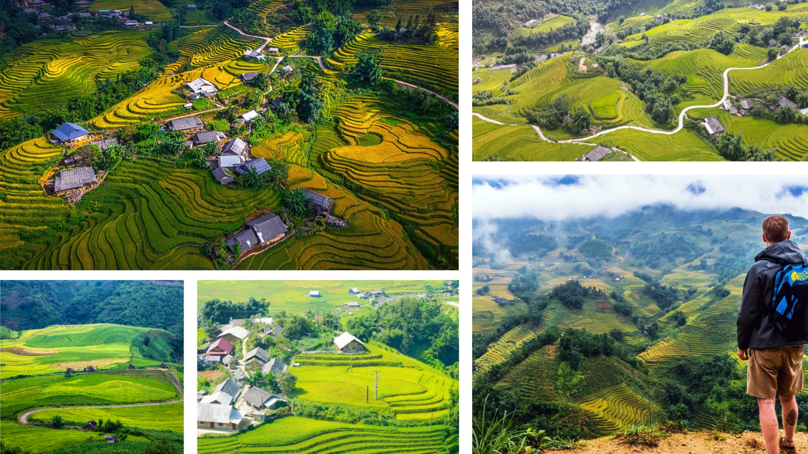 Y Linh Ho Village: The Untamed Beauty of Sapa’s Hidden Gem