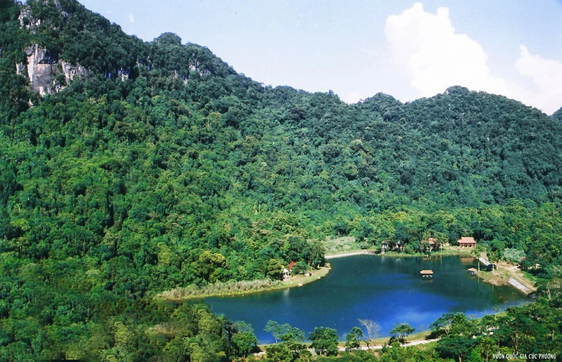 Explore Cuc Phuong National Park: A Natural Treasure Near Ninh Binh