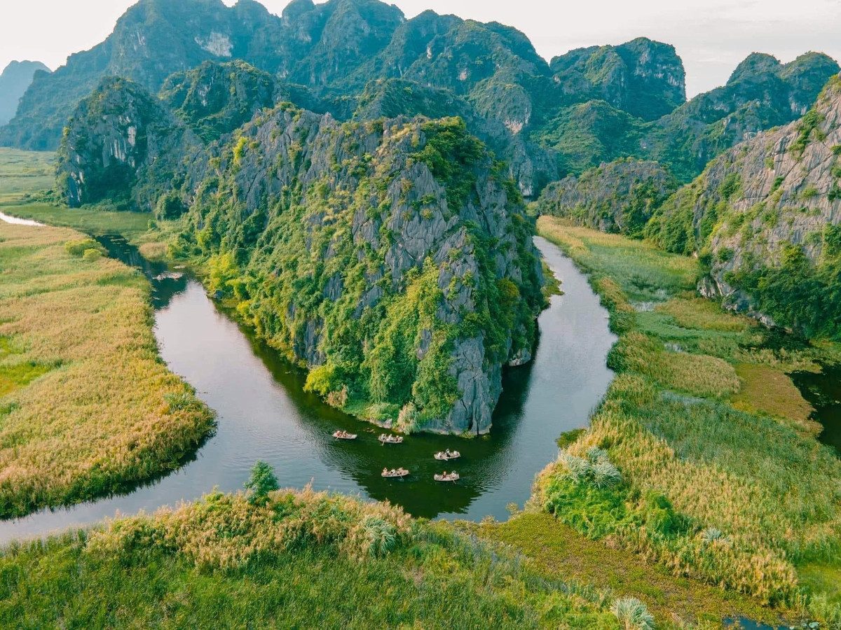 Van Long Lagoon: The Unmissable Eco-Tourism Gem of Ninh Binh