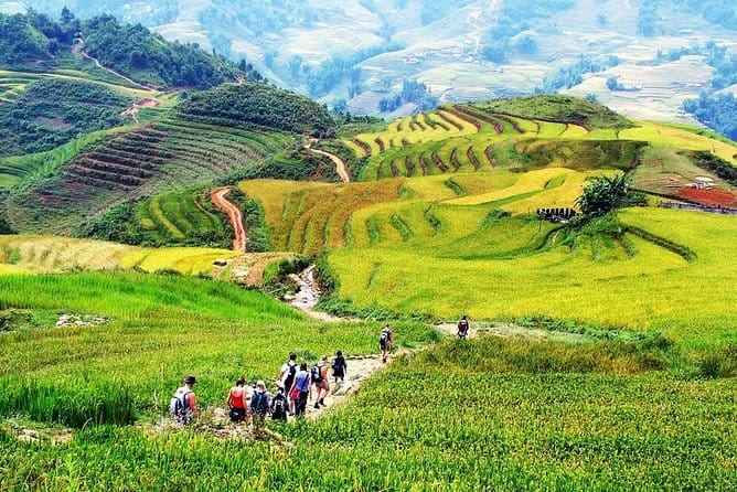 Y Linh Ho Village: The Untamed Beauty of Sapa’s Hidden Gem
